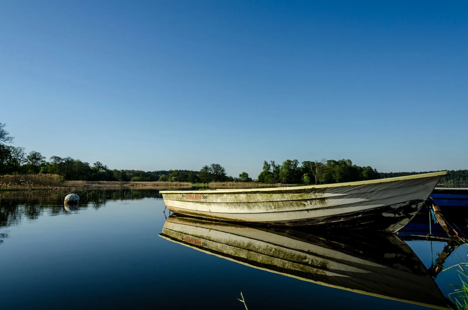 En vit roddbåt speglas i en stilla sjö under klarblå himmel.